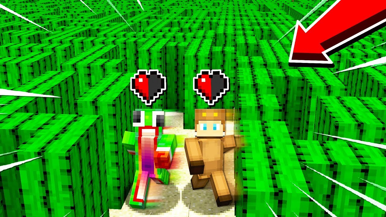 1v1 HALF A HEART CACTUS MAZE!