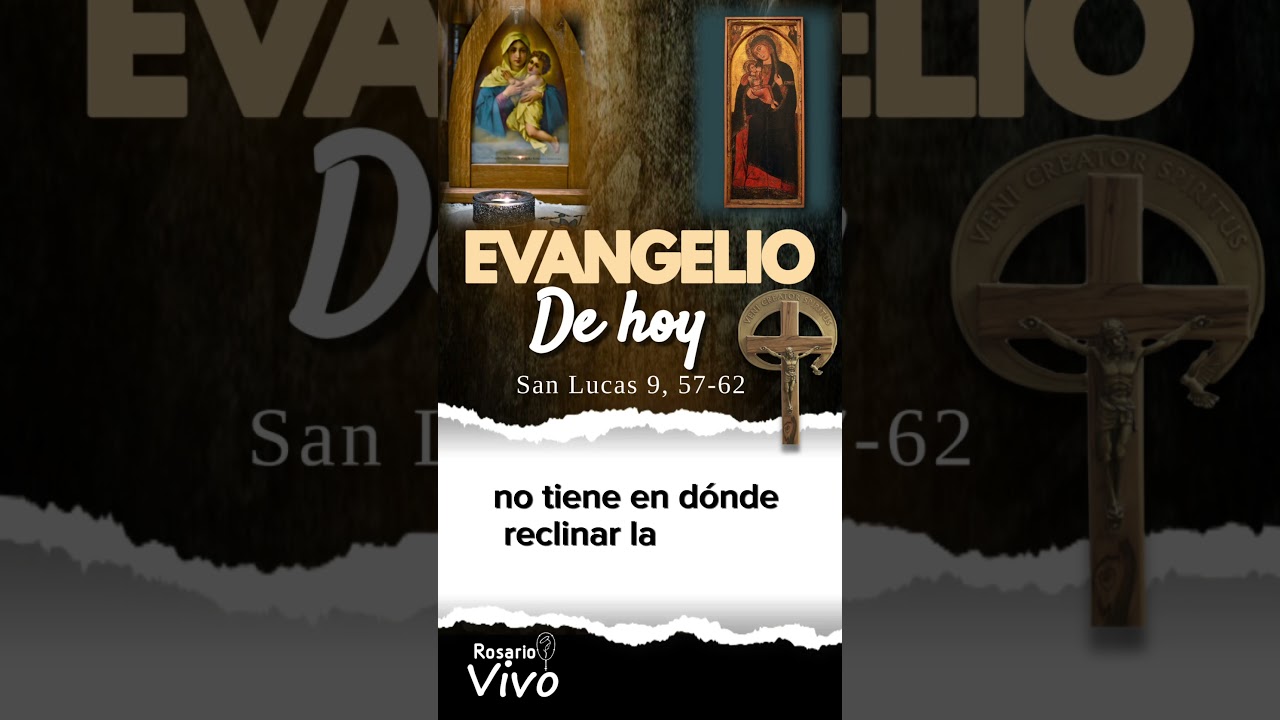 Evangelio hoy Mi&eacute;rcoles 4 Octubre 2023 #evangeliodehoy #santoevangelio #lecturasdeldia #misadehoy