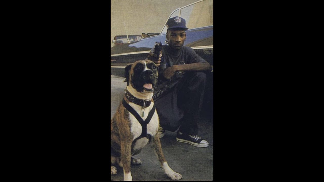 [FREE] Snoop Doggy Dogg X Detroit Sample 