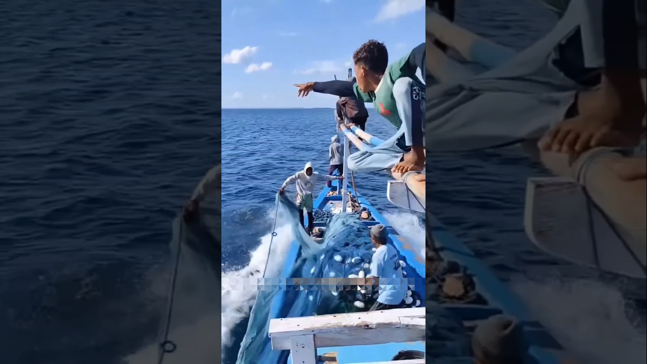 The Most Satisfying Fish Catch Ever Recorded! 