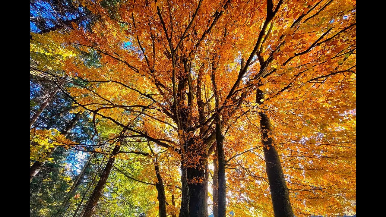 Filettino 2021, i colori dell'autunno