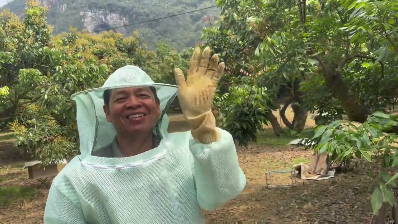 kiểm tra sỏ Bộ trại ong Mật đã về chưa     Nhân tiện Tham khảo trại ong anh Triển quay phá vòng 1
