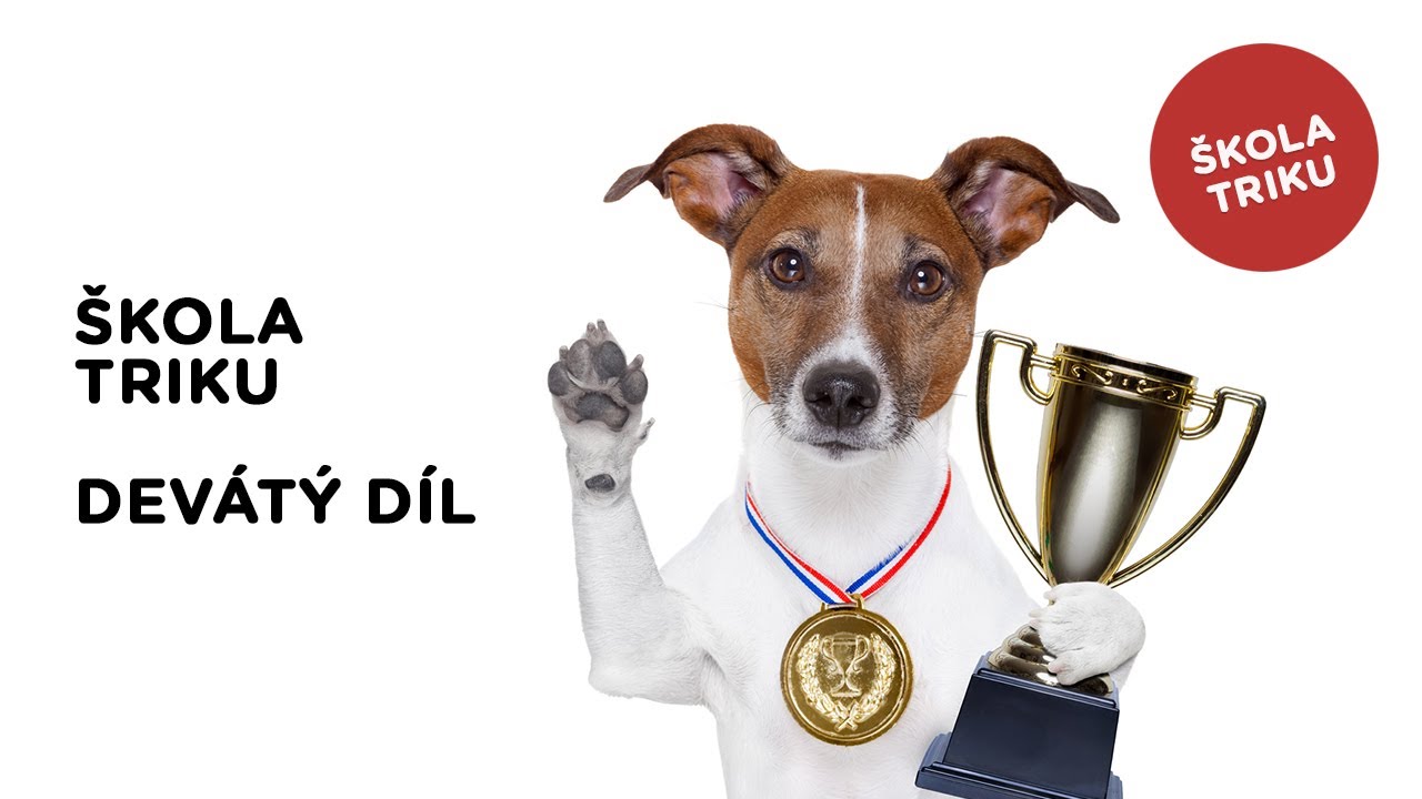 😎 Škola triku - Devátý díl - Tlapka TV