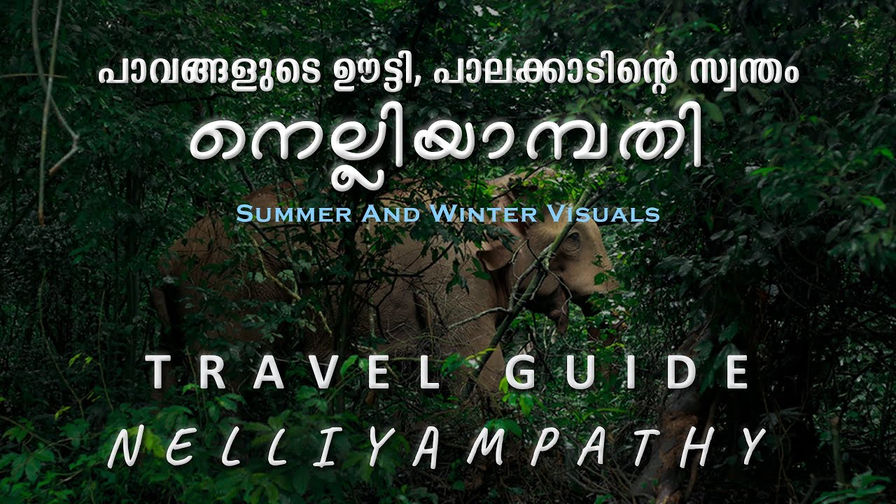 NELLIYAMPATHY|PALAKKAD| Summer&winter visuals|പാവങ്ങളുടെ ഊട്ടി|kesavanpara|seetharkund|karappara|