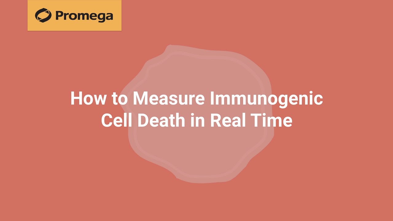 How to Measure Immunogenic Cell Death in Real Time
