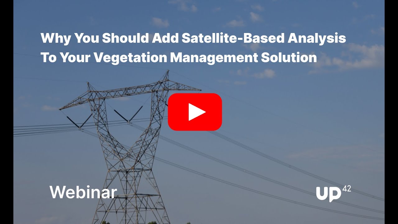 Why You Should Add Satellite-Based Analysis To Your Vegetation Management Solution