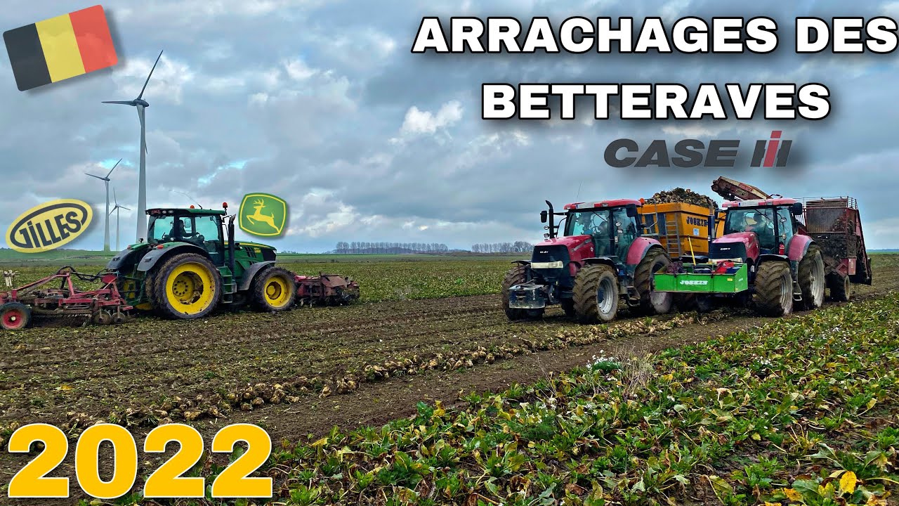 🇧🇪ARRACHAGES DES BETTERAVES AVEC UN CHANTIER DÉCOMPOSÉ MADE IN BELGIUM 🇧🇪
