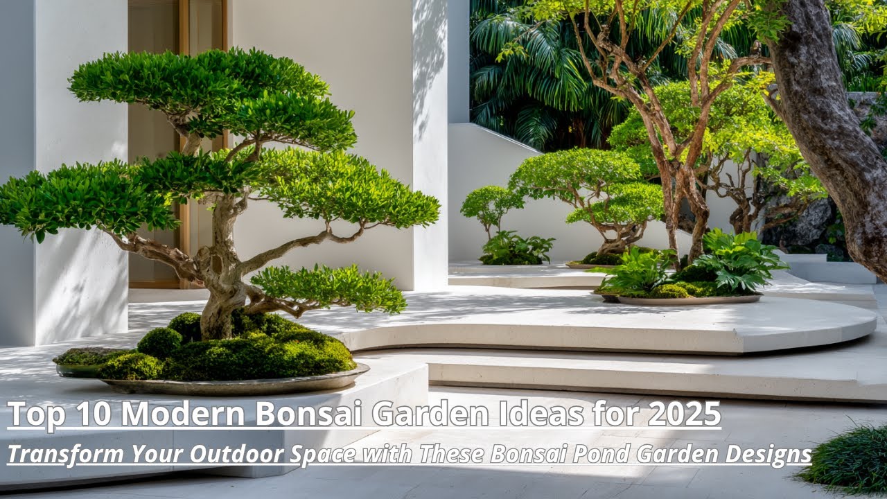Modern Bonsai Garden Ideas 2025: Landscaping and Pond Style