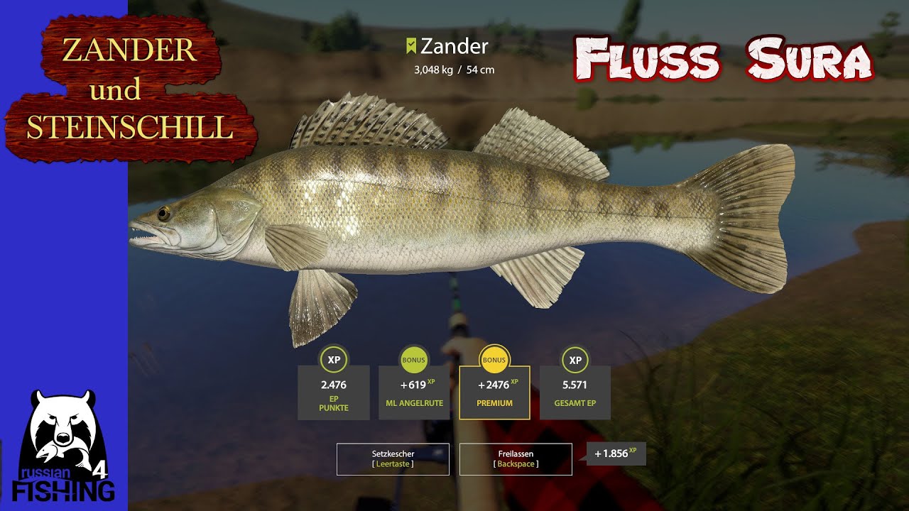RF4 – NEUES SETUP auf ZANDER – AN der SURA  Russian Fishing 4