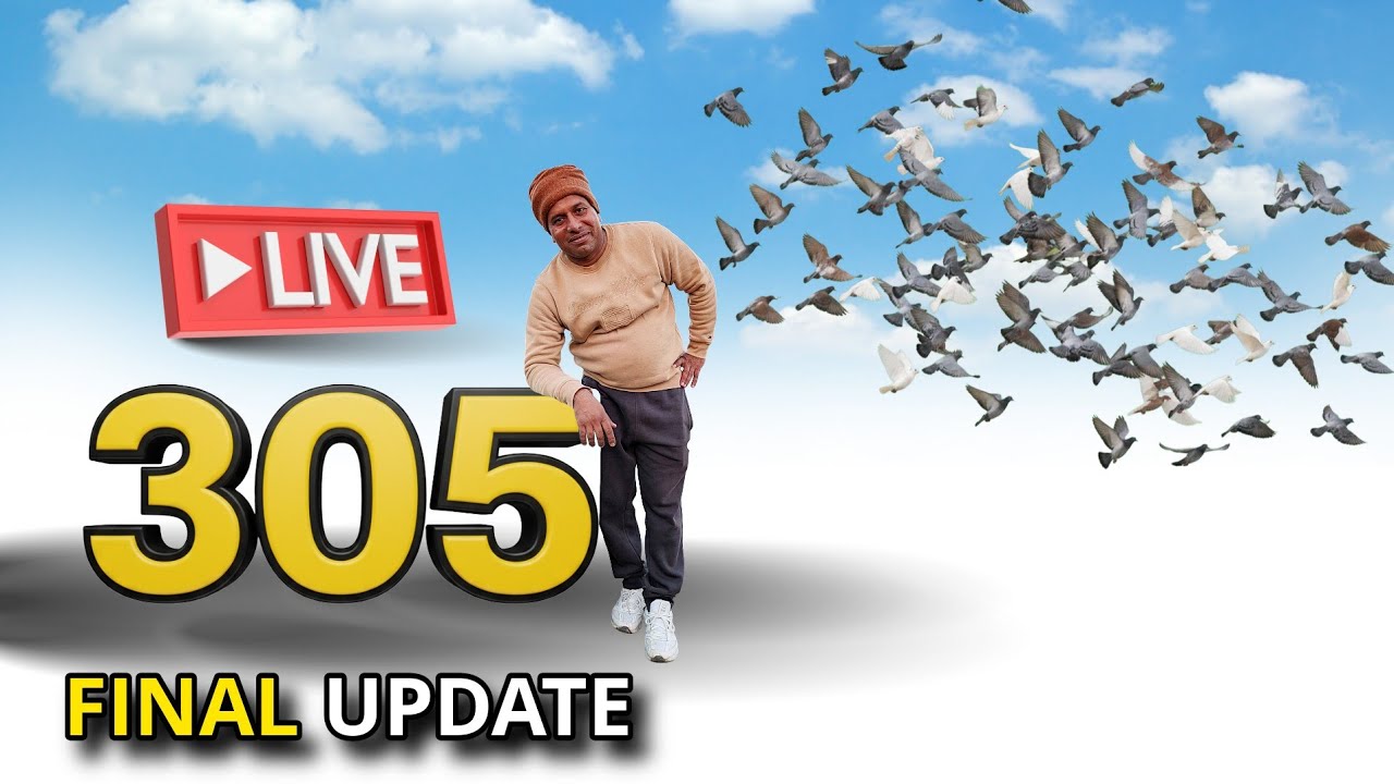 final Update