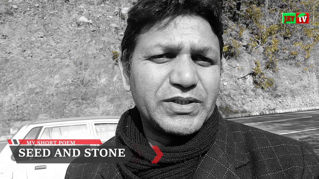 SEED AND STONE December 12, 2020