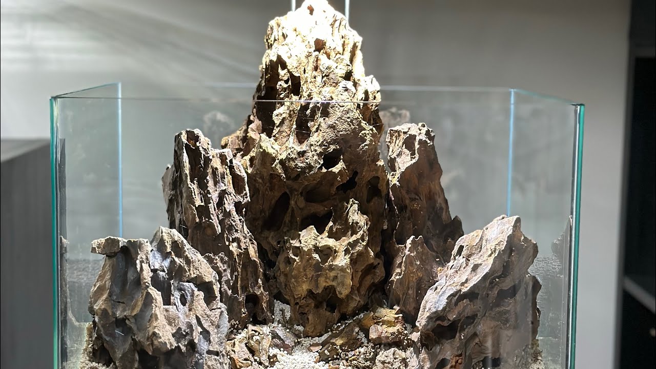Dragon cove aquascape