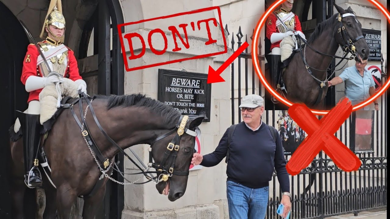 Warning Sign Behind You! Why did you touch the horse😳