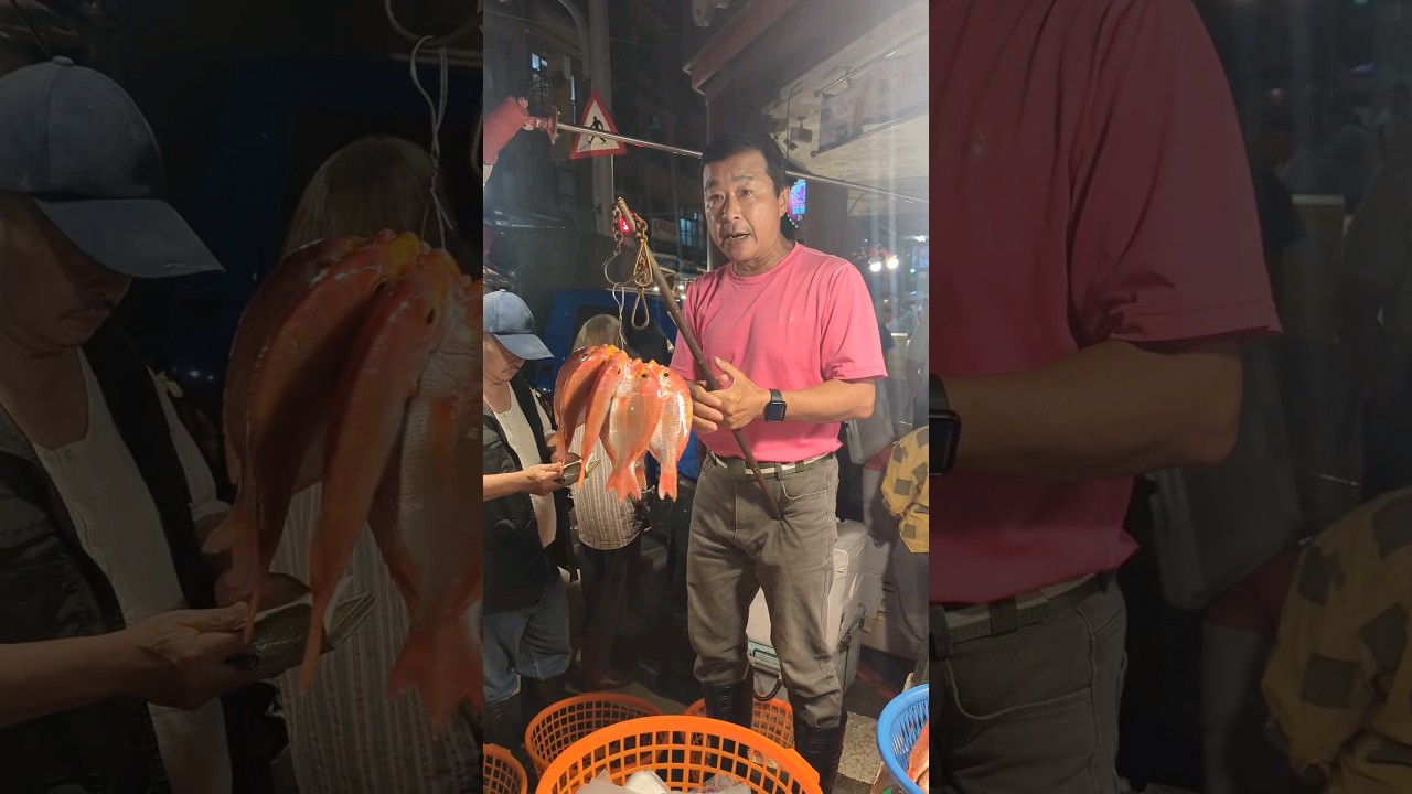崁仔頂魚市 糶手拍賣新鮮漂亮的赤鯮！#崁仔頂 #fishmarket #魚市場