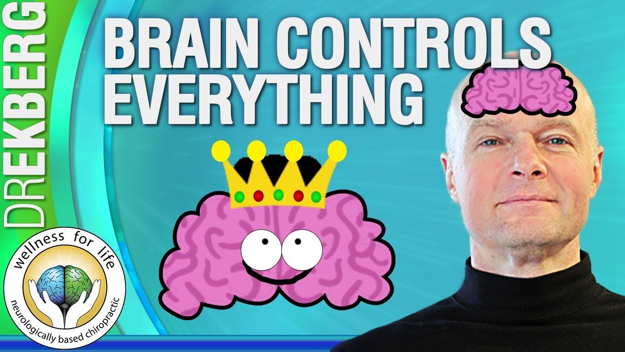 How The Brain Tells The Body To Move  - Dr Ekberg