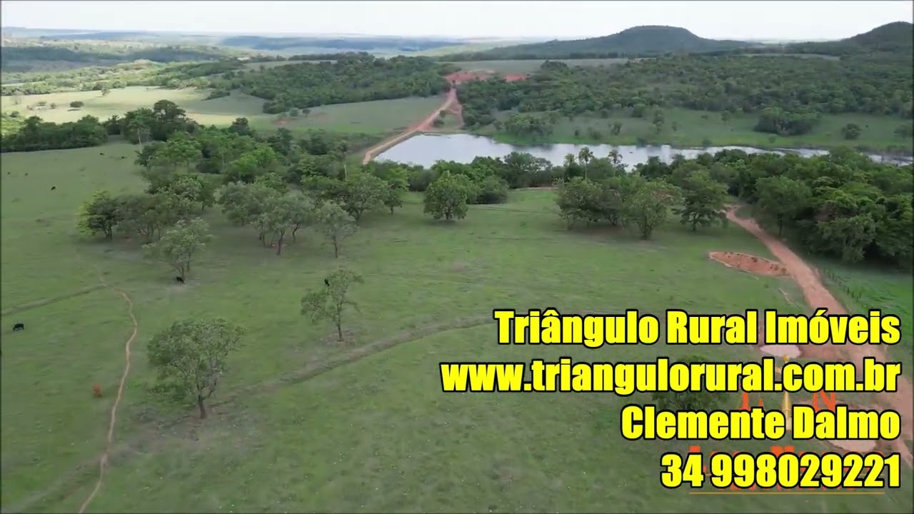 Fazenda a Venda - 114 Alq Uberaba - Triângulo Rural Imóveis #FAZENDA #fazendasavenda #TRIÂNGULO