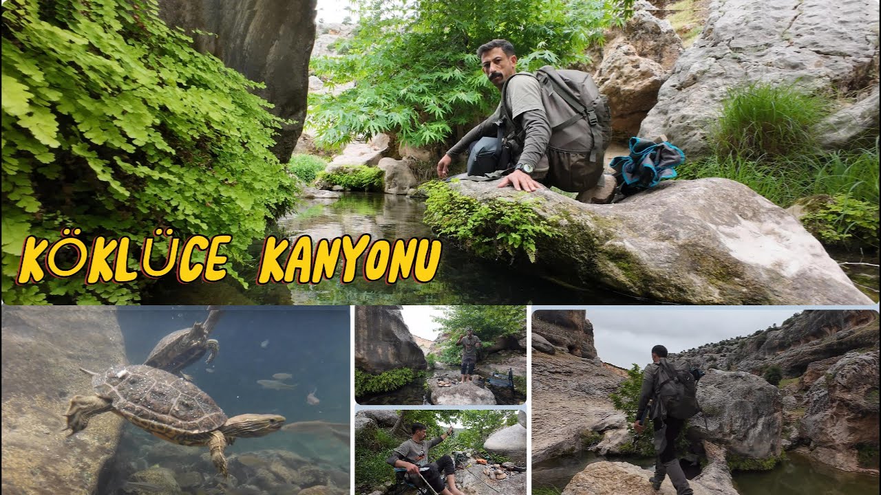 SU KAPLUMBAĞALARI / KÖKLÜCE KANYONUN DA 1 GÜN GEÇİRDİK