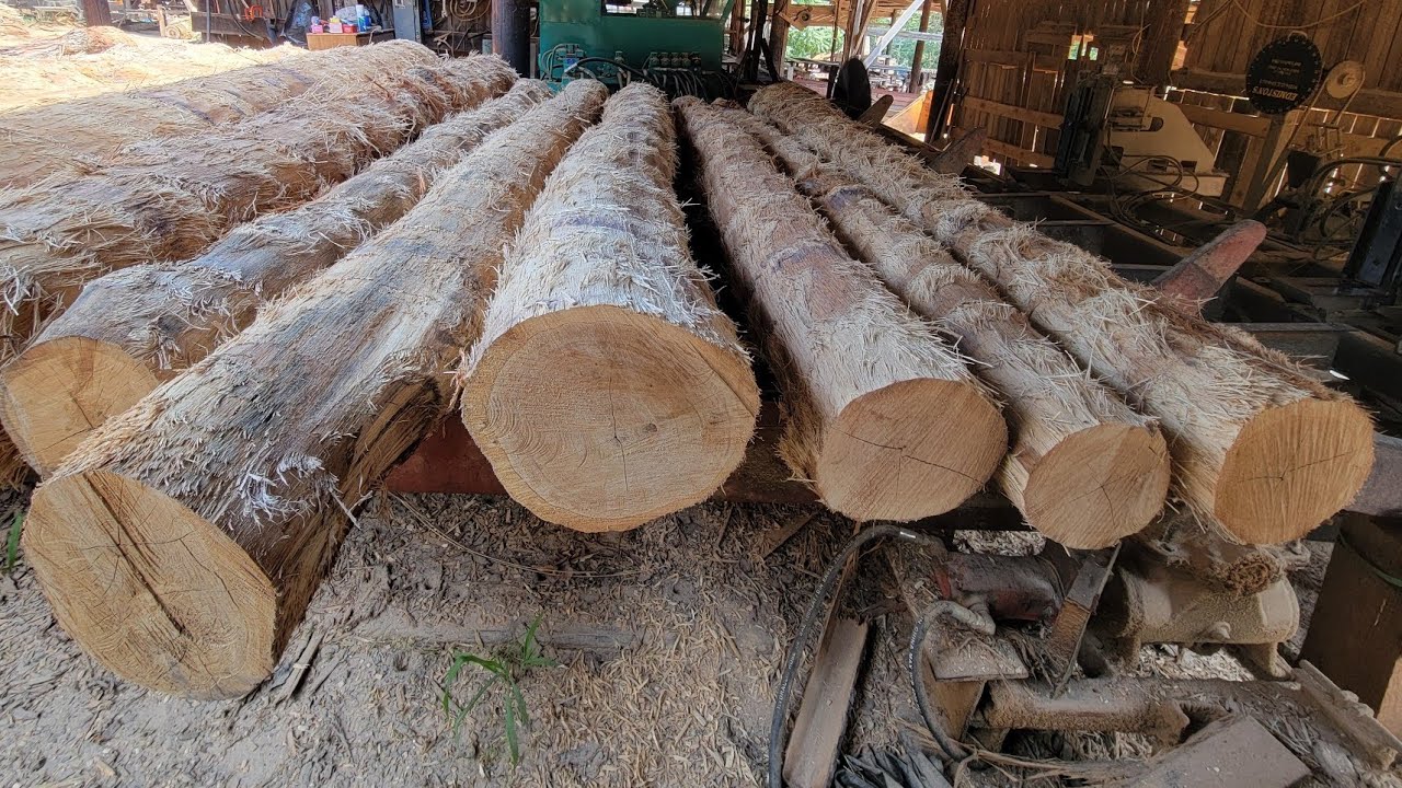Sawing white oak - Monday edition #52