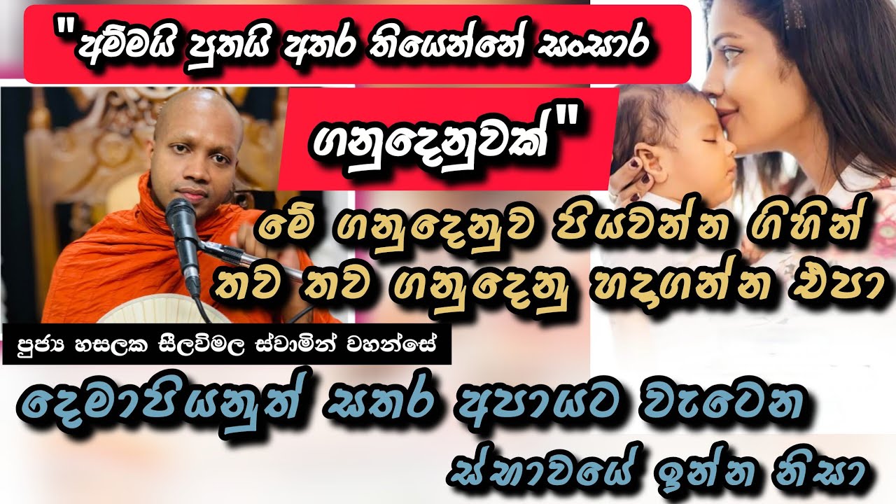 මෝහය සහ ධර්ම මාර්ගය |#926බණවර |#revhasalakaseelawimalathero |2026.03.13