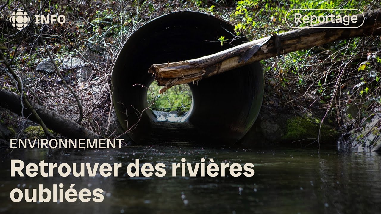 Redonner vie aux rivières souterraines | La semaine verte