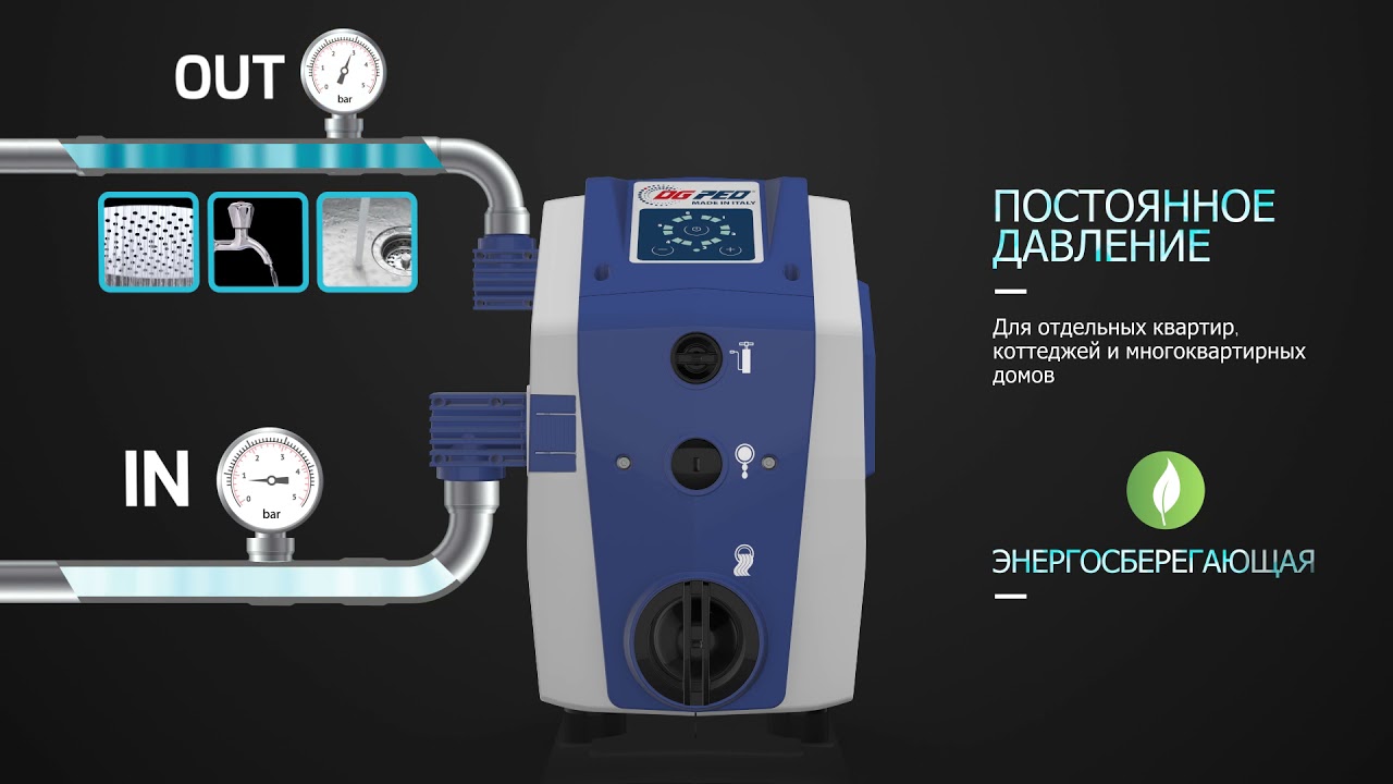 DG PED _RU