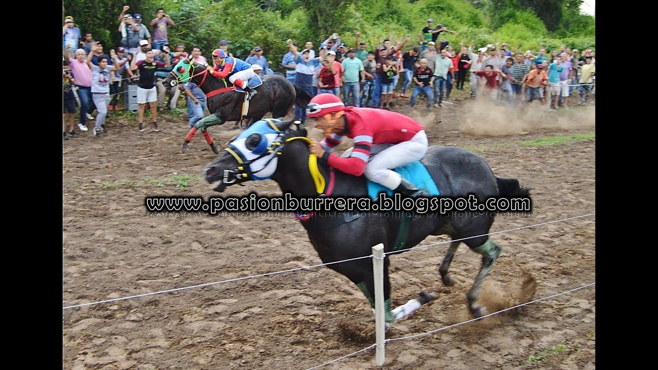 # AMERICANO # Bañado de Ovanta (24-02-18)