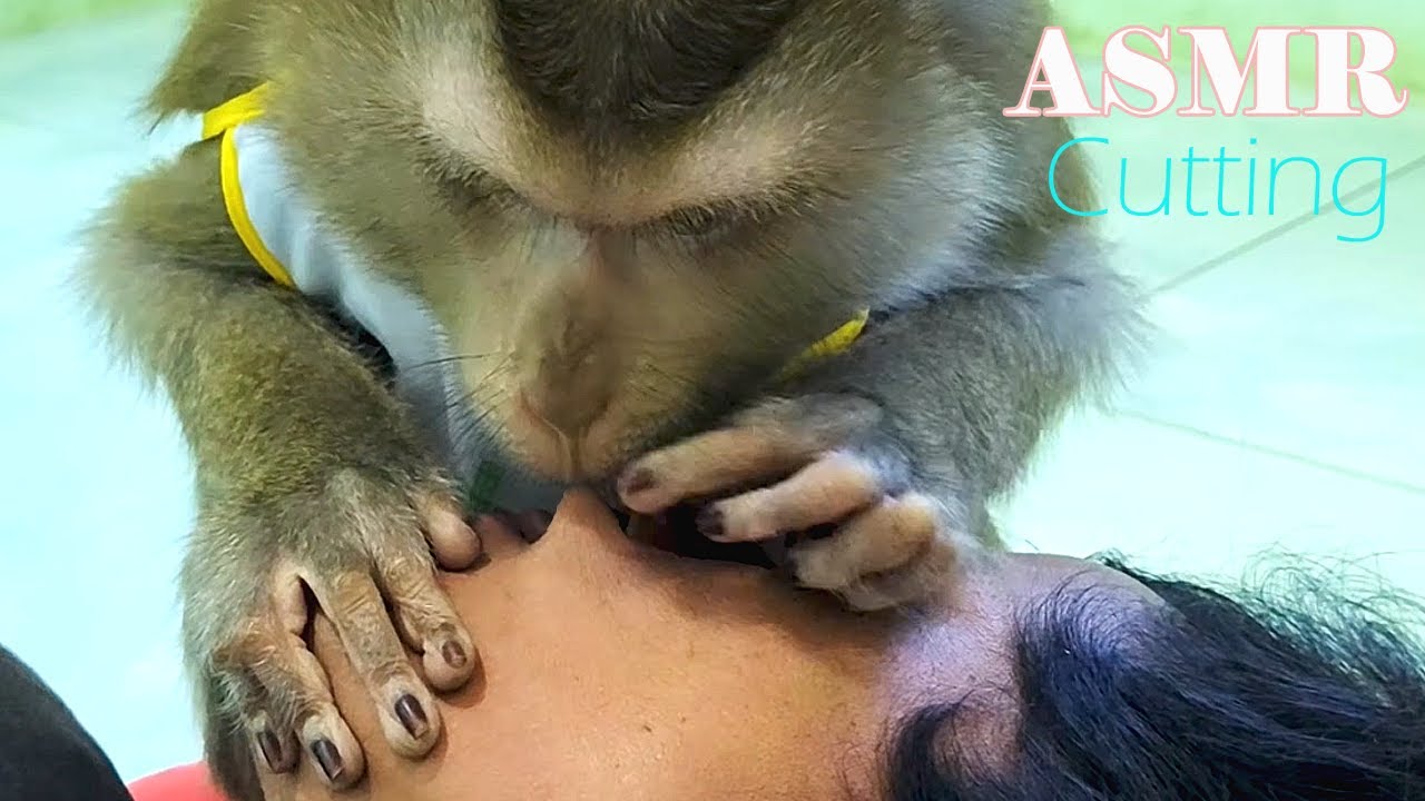Dr. LYLY Saw The Cutting Mouth Skills Can Bring You Satisfy