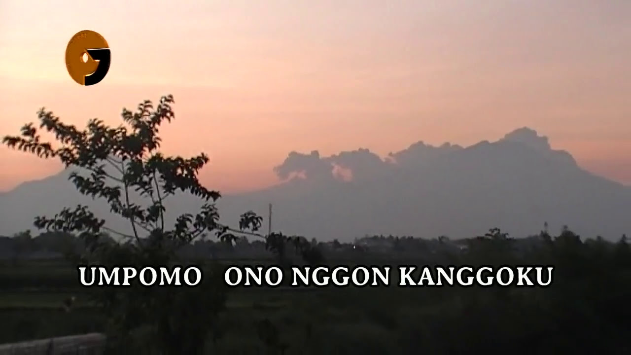 JHON PASTA - UMPOMO (TRI POS)