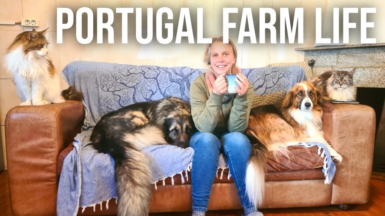 We Said Goodbye… Portugal Farm Life Returns | ANTHBOT M9