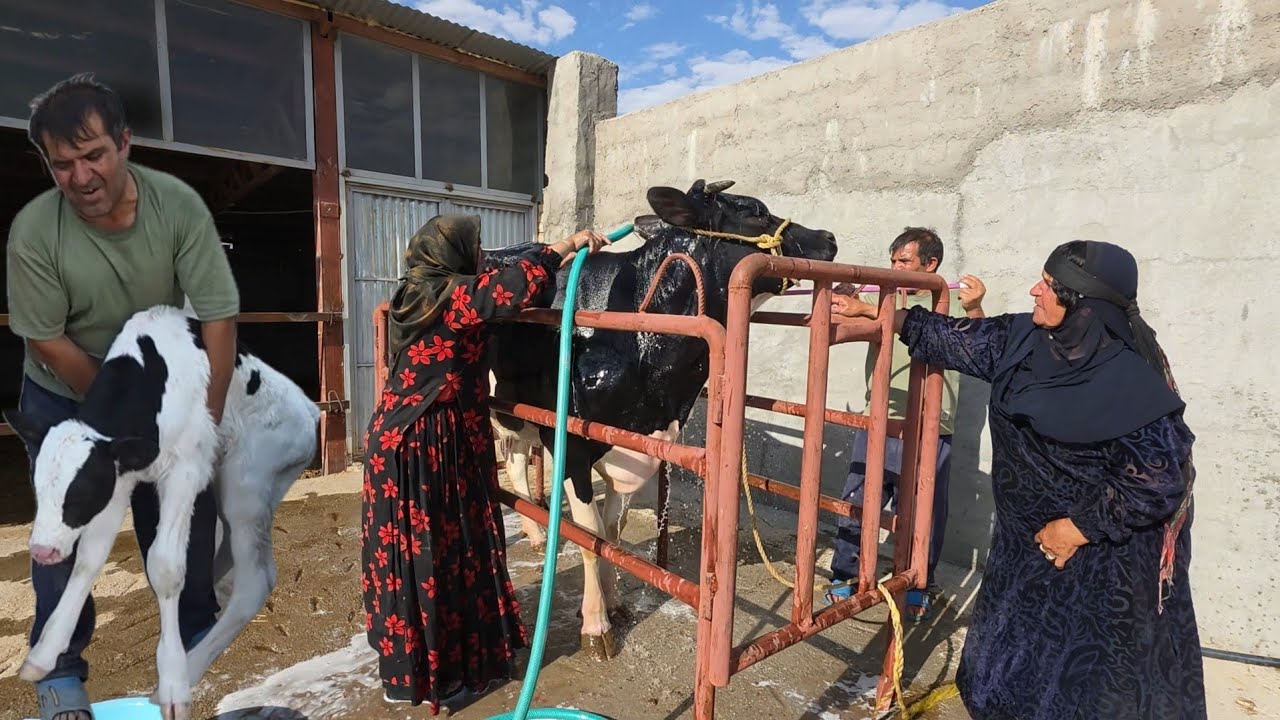 Grandmother's Magic in Raising Livestock: The Challenges of Nomadic Life