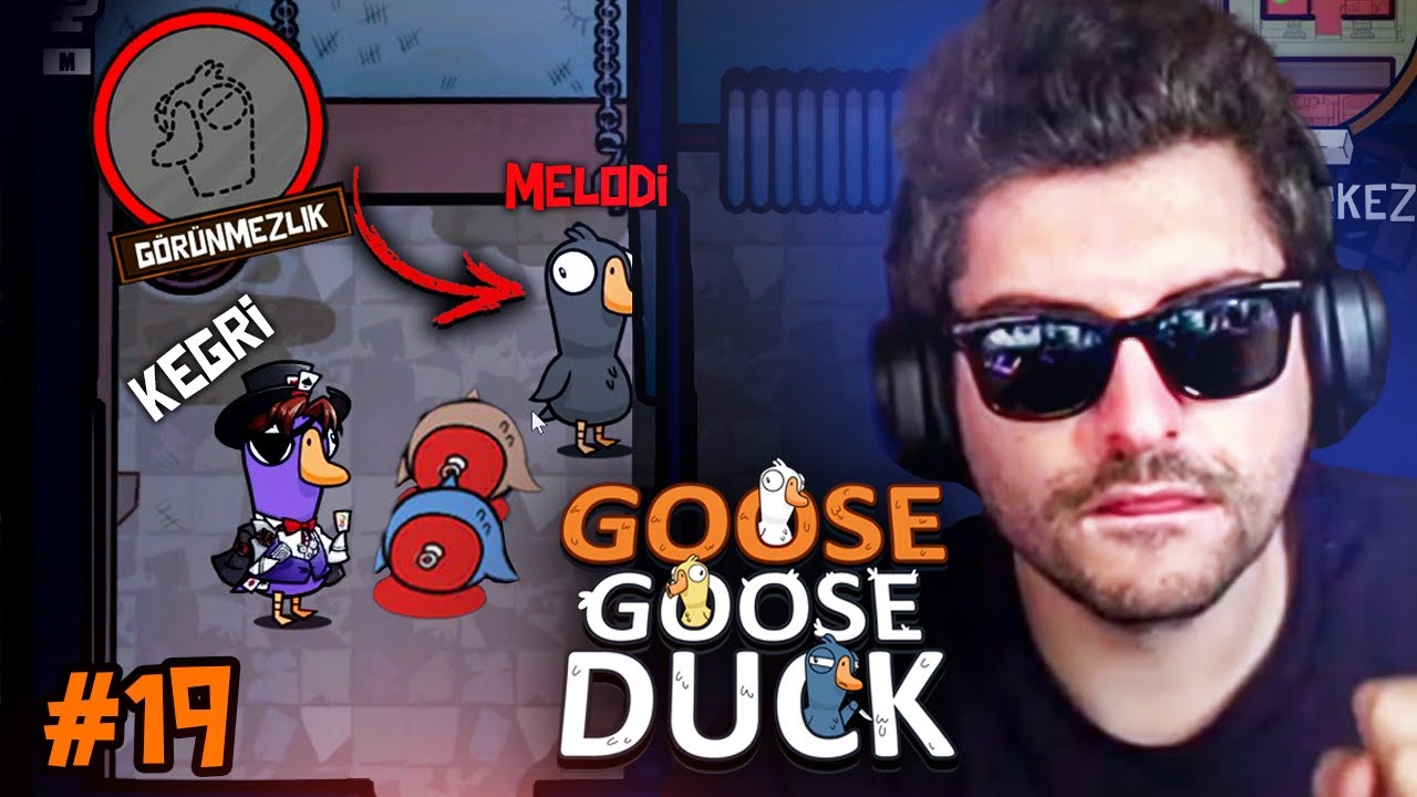 BİRİ GÜVERCİNLERİ DURDURSUN ARTIK! | Goose Goose Duck