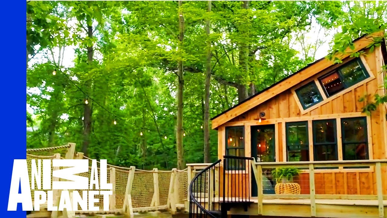Grace VanderWaal's Got Treehouse