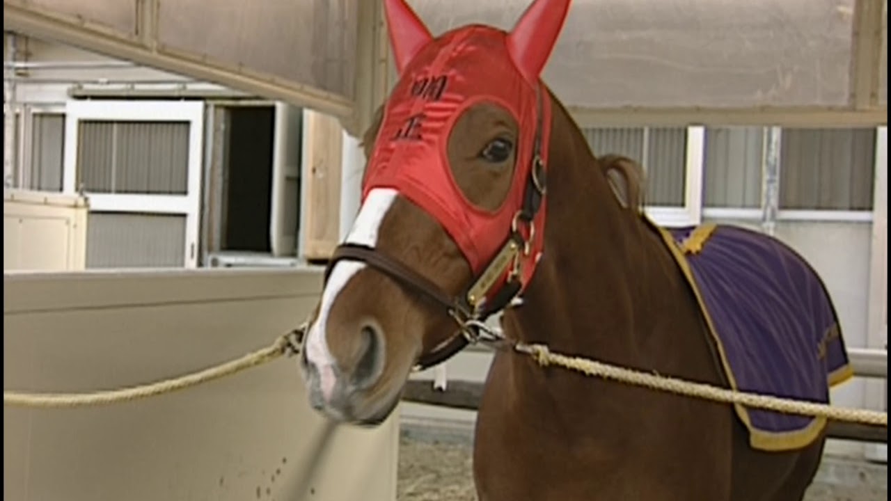 20世紀の名馬　54位　メイセイオペラ