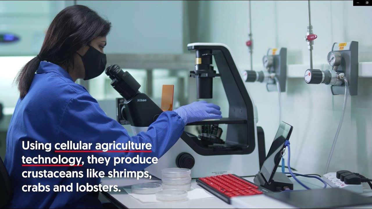 Shiok Meats - OCBC Emerging Enterprise 2021