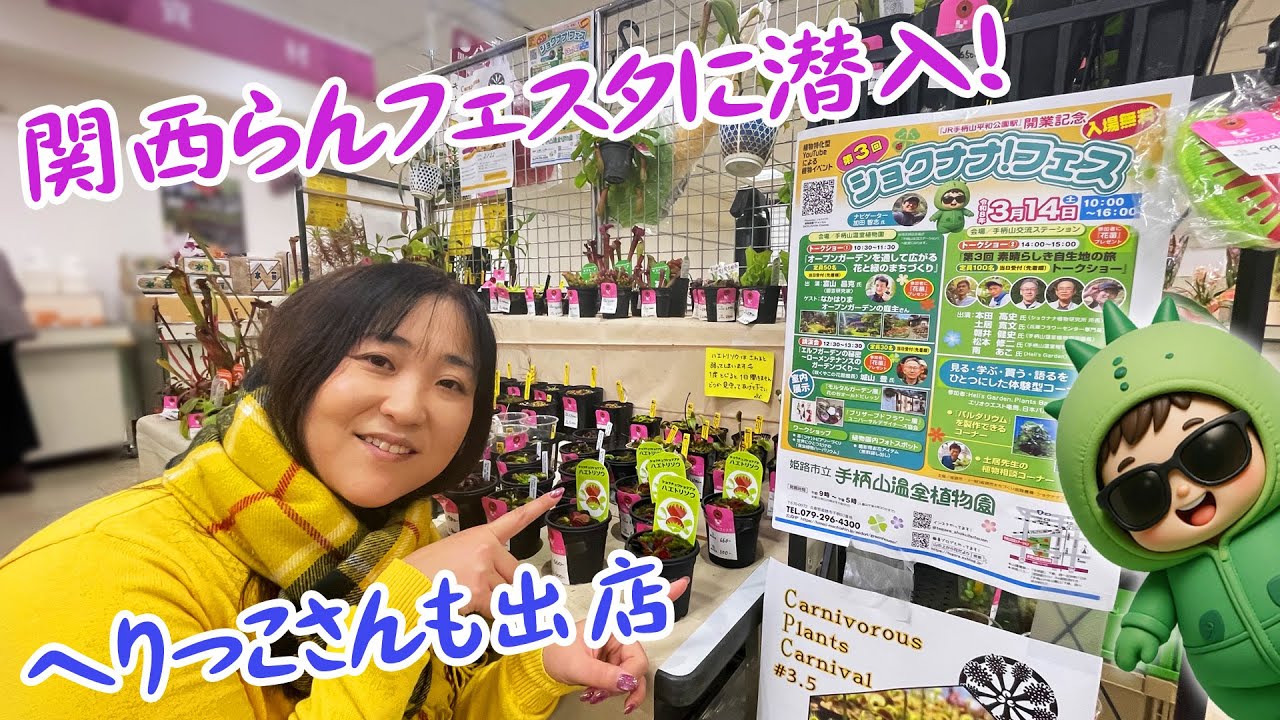 【らん展行ったら食虫植物が???】食虫植物やパルダリウムも出店！へりっこさんも登場し第三回ショクナナフェスの告知も🌵【関西らんフェスタ】