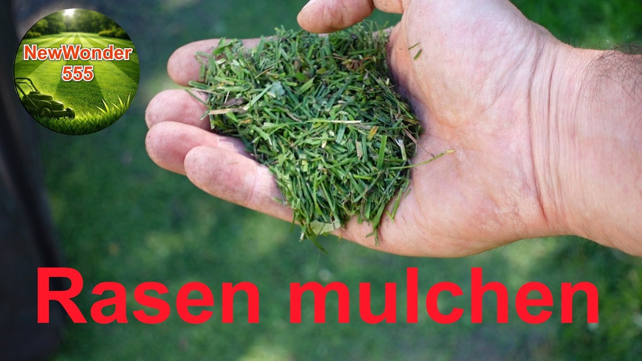 Rasen mulchen Vor und Nachteile – Mähen oder Mulchen | Mulcheinsatz EGO Power – NewWonder555 🌻🌻🌻