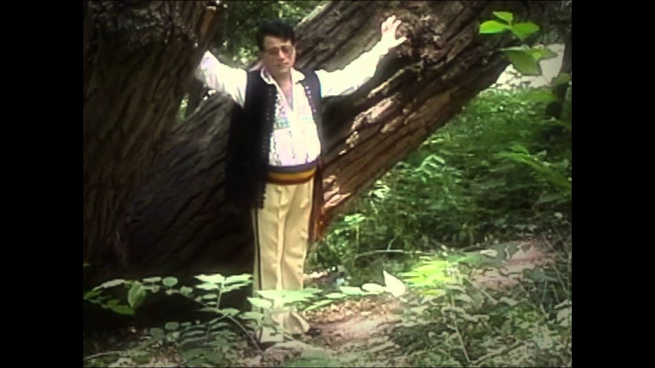 Ion Dolanescu - Are tata doi feciori