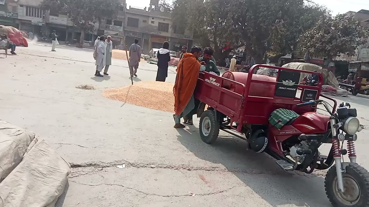Pakpattan galla Mandi makki rate 3600