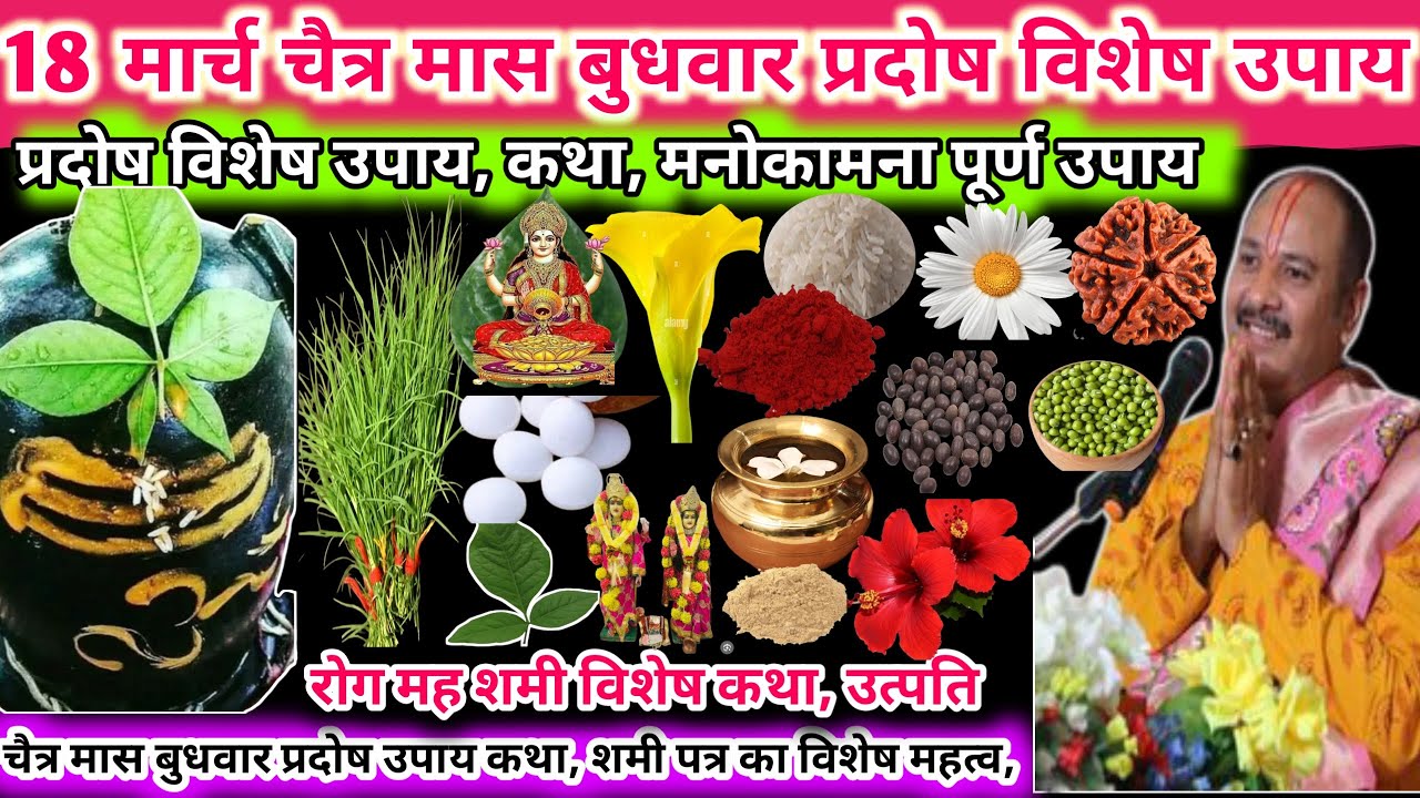 18 मार्च बुधवार अमावस्या विशेष उपाय। रोग मोह शमी विशेष कथा, उत्पति, शमी का विशेष महत्व🔱🌿#upay#shiv