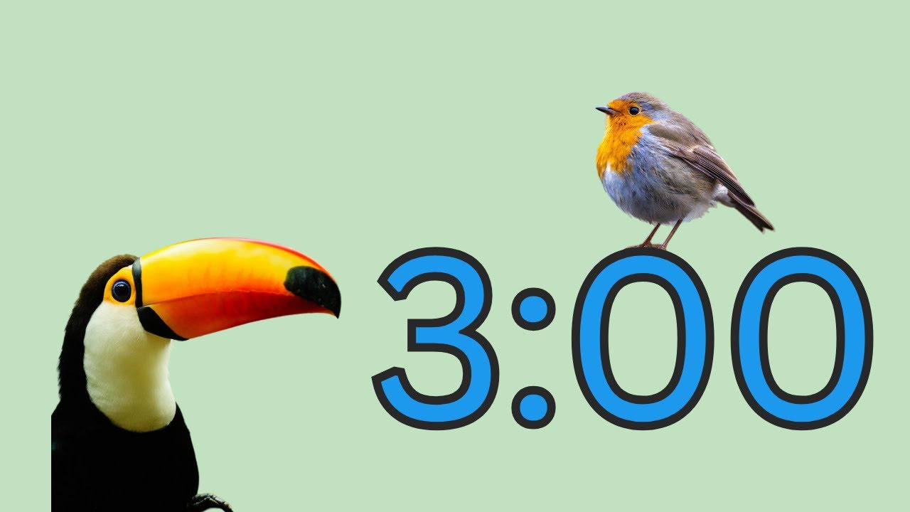 3 minute timer with music for classroom | Birds