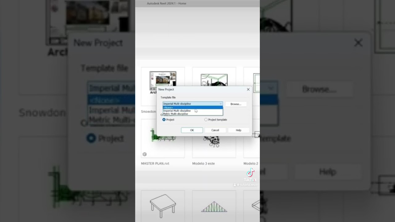 &iquest;C&oacute;mo configurar plantillas de Revit 2024?