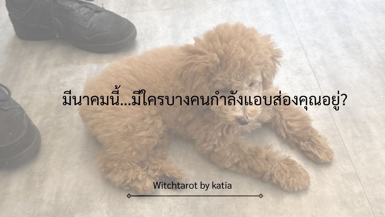 มีนาคมนี้…มีใครบางคนกำลังแอบส่องคุณอยู่ 👀 🔮 #ไพ่ซุบซิบ ep.2 #ดูดวงความรัก #pickacard