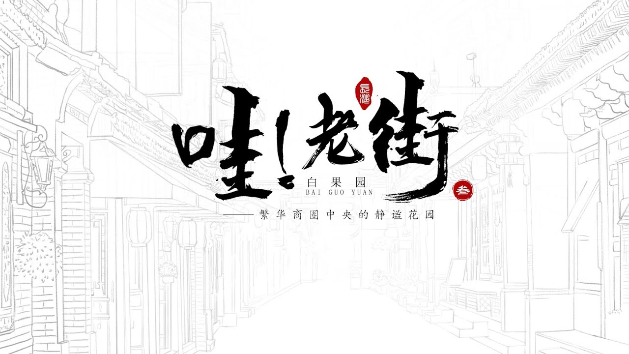 Chaozong Street【哇！老街】潮宗街：波澜不惊的老城 热血一直在沸腾#tour #changsha
