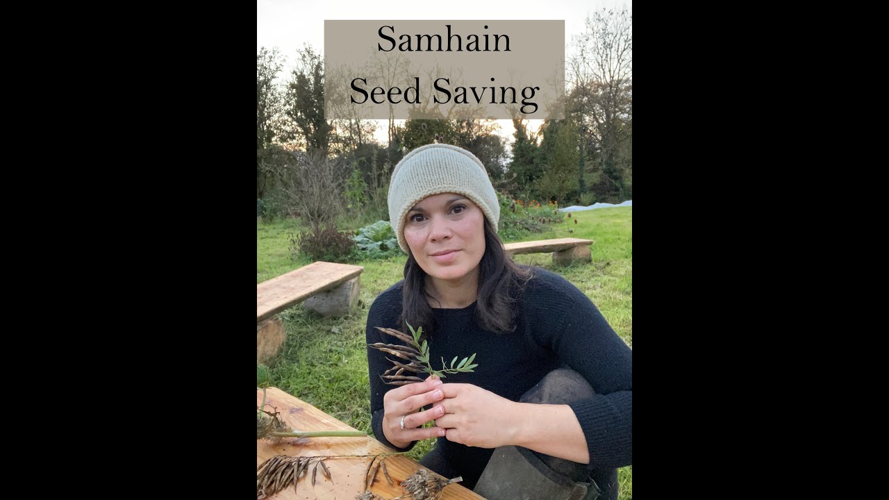 Samhain Seed Saving from the Ivywood Garden