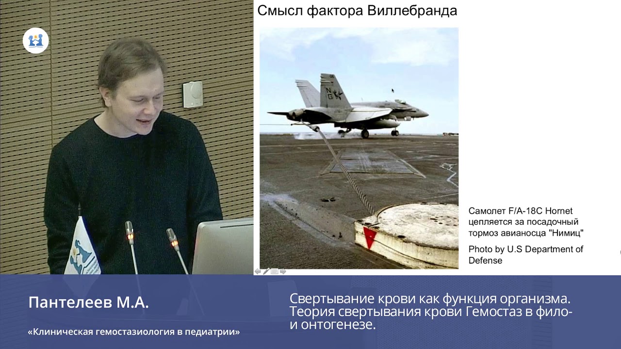 Свертывание крови как функция организма. Теория свертывания крови.