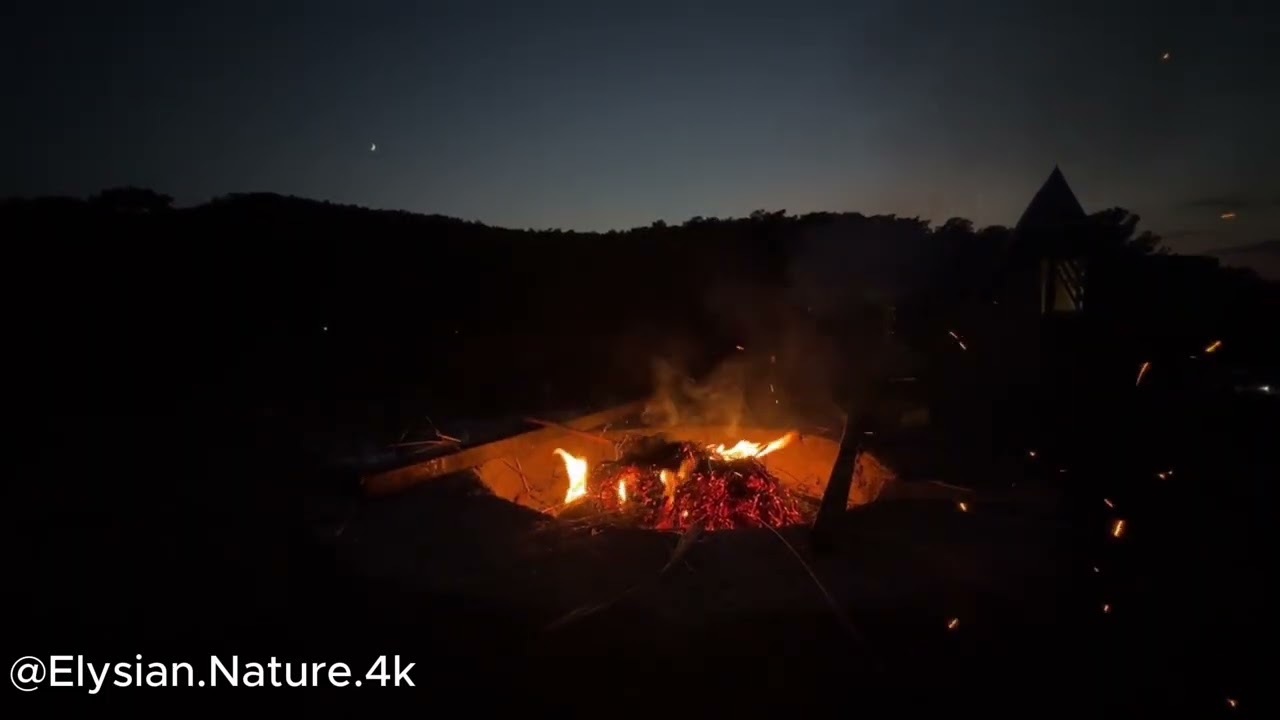 Cozy Campfire Night 🔥 Nature Calm #Shorts