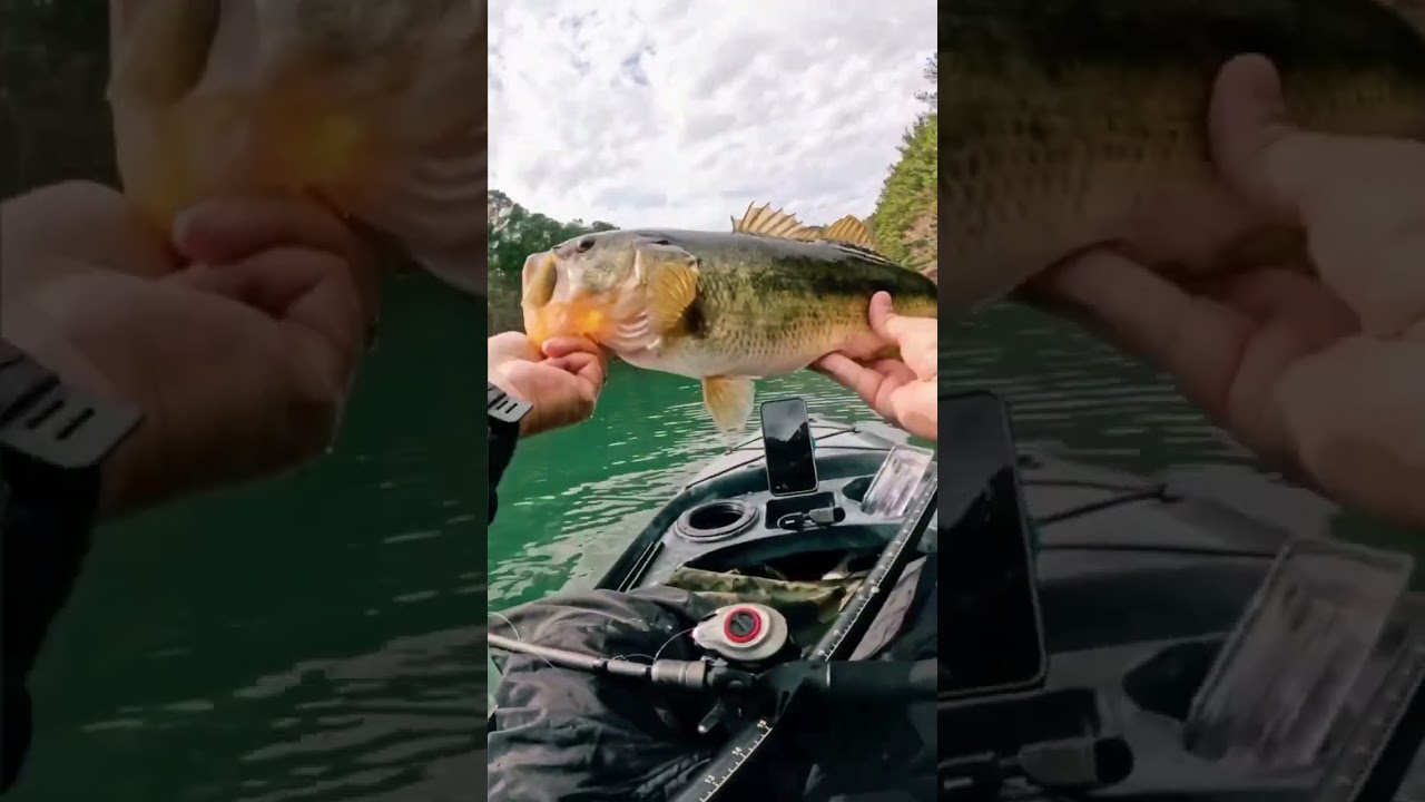When you get SLOBBERKNOCKERED - Berkley Slobberknocker Bladed Jig catches BIG bass!