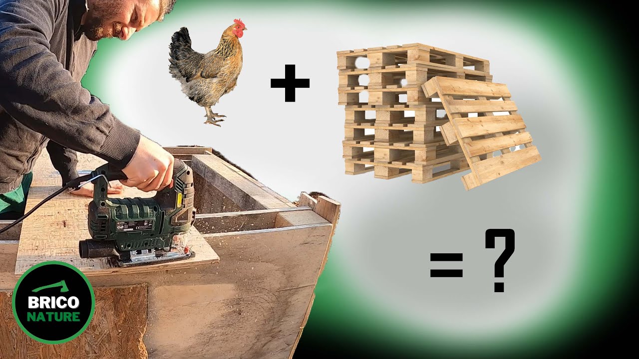 Chicken coop construction 100% Free DIY with wooden pallet