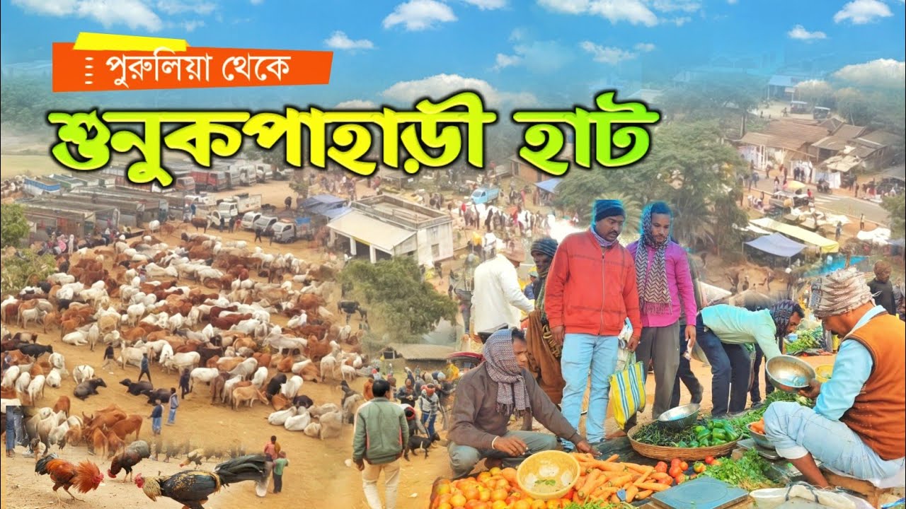 শুনুকপাহাড়ি হাট | Sunukpahari Haat | গ্রামীণ জীবন ও ঐতিহ্যের গল্প | Rural Market in Bankura