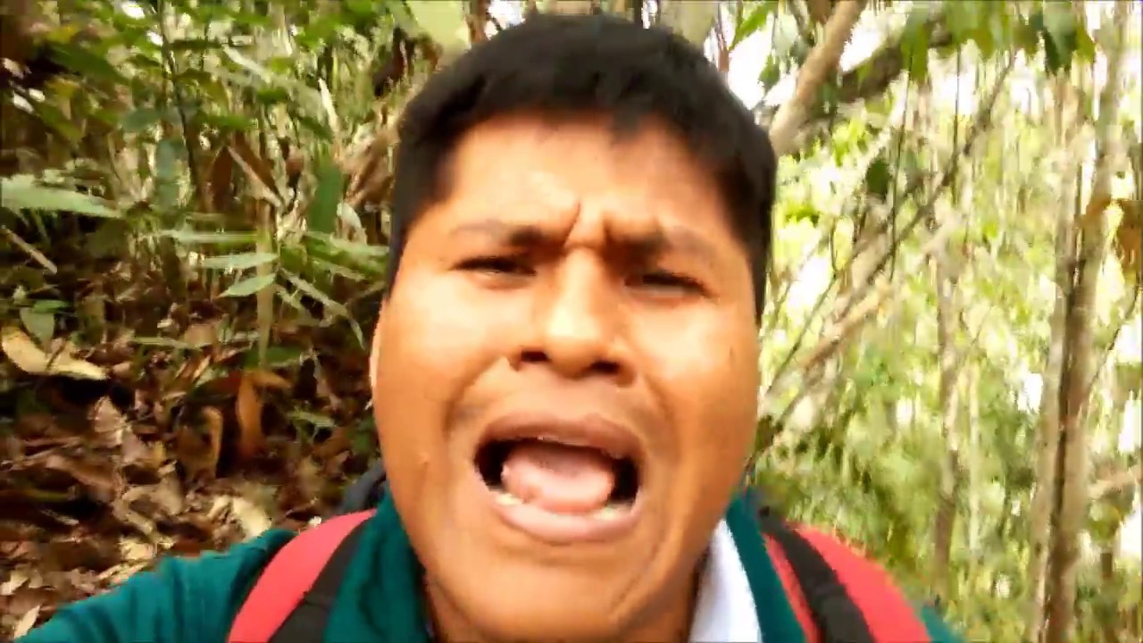 UN DIA EN LA PLUSPETROL